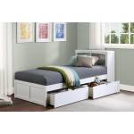 B2053BCW-1T* Twin Bookcase Bed with Storage Boxes