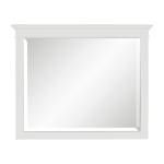 1675W-6 Mirror
