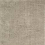 RG8182M CAMARA AREA RUG