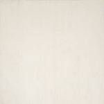 RG8176M CAMARA AREA RUG