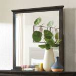 FOA7916M ALAINA MIRROR