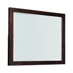 222914 Biloxi Rectangular Mirror Varied Coffee