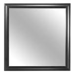 1517-6 Mirror