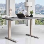 805480 STANDING DESK