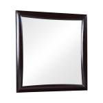 200414 Phoenix Square Dresser Mirror Deep Cappuccino
