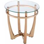 Orlando II Collection 81612 23" End Table