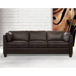Matias Sofa in Chocolate Leather - Acme Furniture 55010