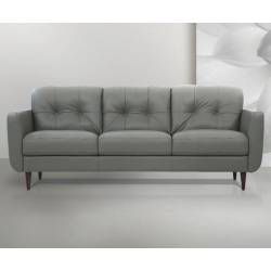 Radwan Sofa in Pesto Green Leather - Acme Furniture 54960