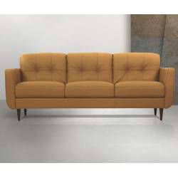 Radwan Sofa in Camel Leather - Acme Furniture 54955