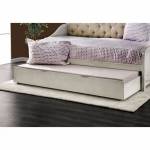 CM-TR453-WHA SEBASTIANNE TRUNDLE