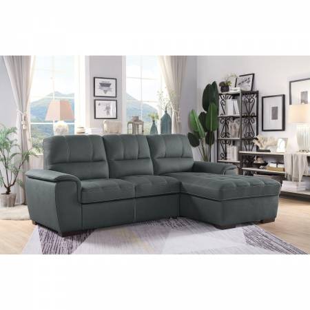 9858TP*SC 2-Piece Sectional with Pull-out Bed and Hidden Storage Andes