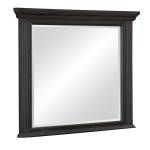 1647-6 Mirror Bolingbrook