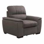 9858TP-1 Chair with Pull-out Ottoman Andes