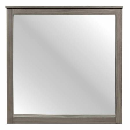 1902-6 Waldorf Mirror - Gray Tone