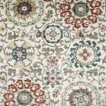 RG8114 SARTELL AREA RUG