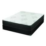 Freya 11.5″ California King Mattress White And Black 350372KW