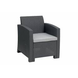 Outdoor Arm Chair P50471