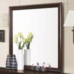 Louis Philippe 202 Framed Square Dresser Mirror 202414