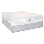 Bronze Grand Award Bronze Cal King