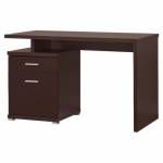 Contemporary Desk with Cabinet 800109
