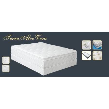 Terra Aloe Vera Euro Pillowtop 13” Cal.King