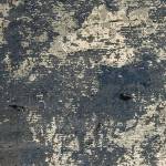 DEVELI AREA RUG RG5193