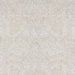 ANNMARIE 5' X 7' WHITE AREA RUG RG4106