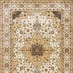 ALTAY AREA RUG RG5172
