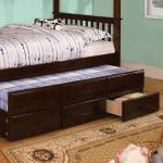 UNIVERSITY TWIN TRUNDLE W/ 3 DRAWERS Dark Walnut