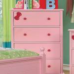 DANI CHEST Pink finish