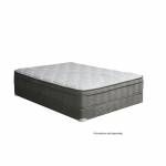 AFTON 12” EURO BOX POCKET COIL Cal.King 