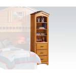 10163 BOOK SHELF CABINET